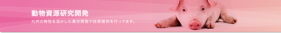 �o�C�^�����\�[�X���p������ �������������J��